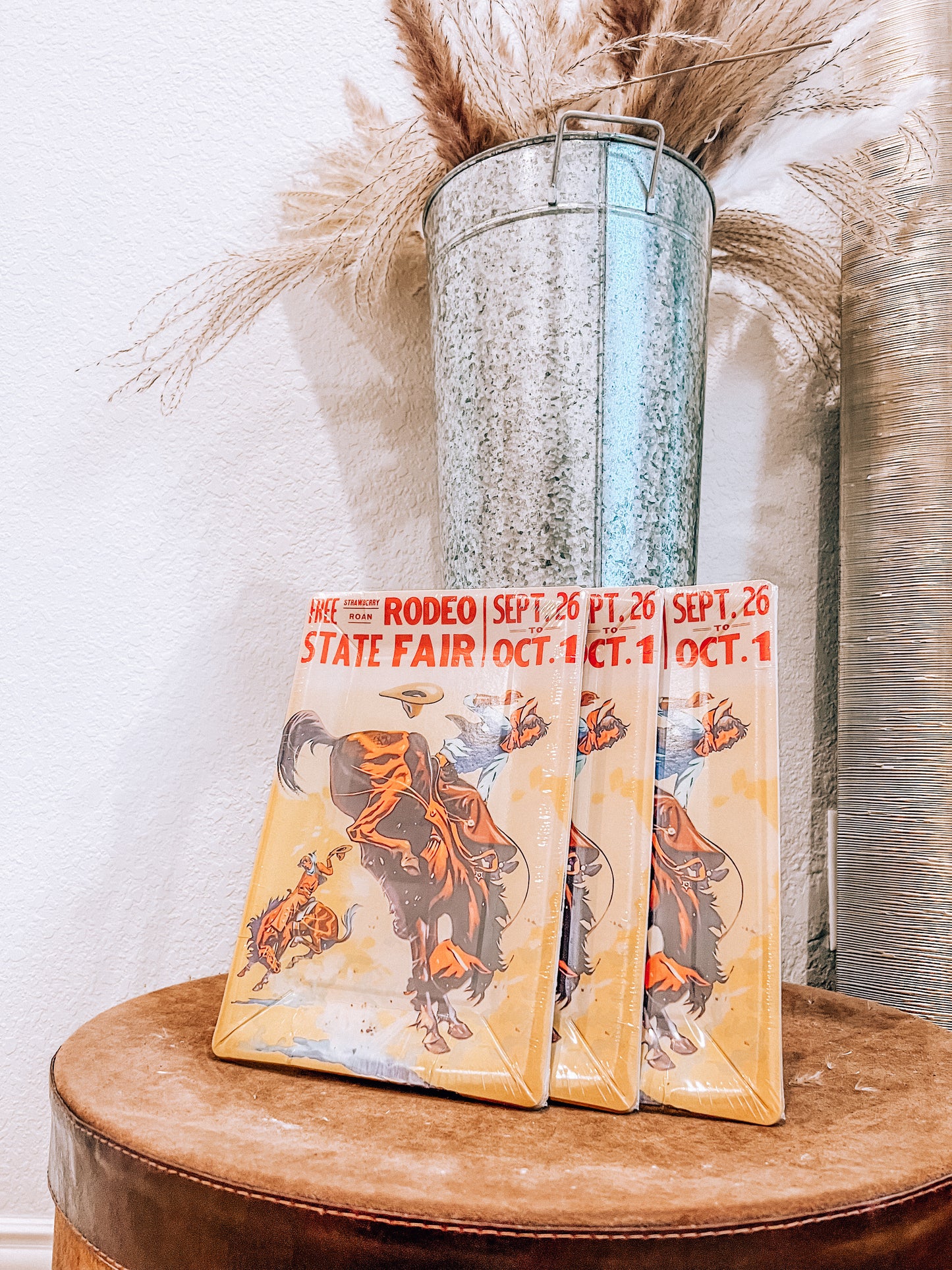 Rodeo Poster Plates